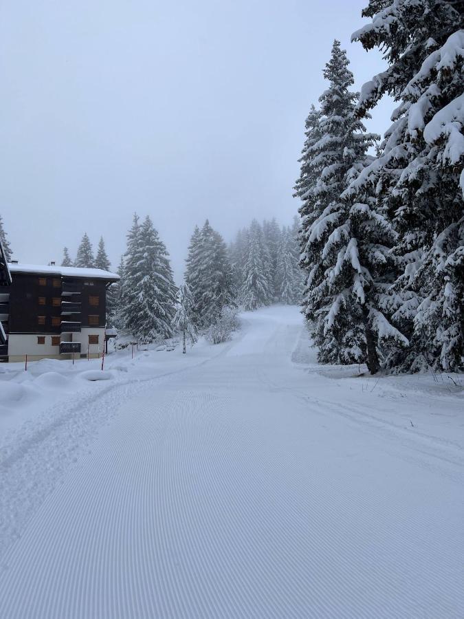 Résidence La Forêt Des Rennes - Les Saisies Villard-sur-Doron Exterior foto