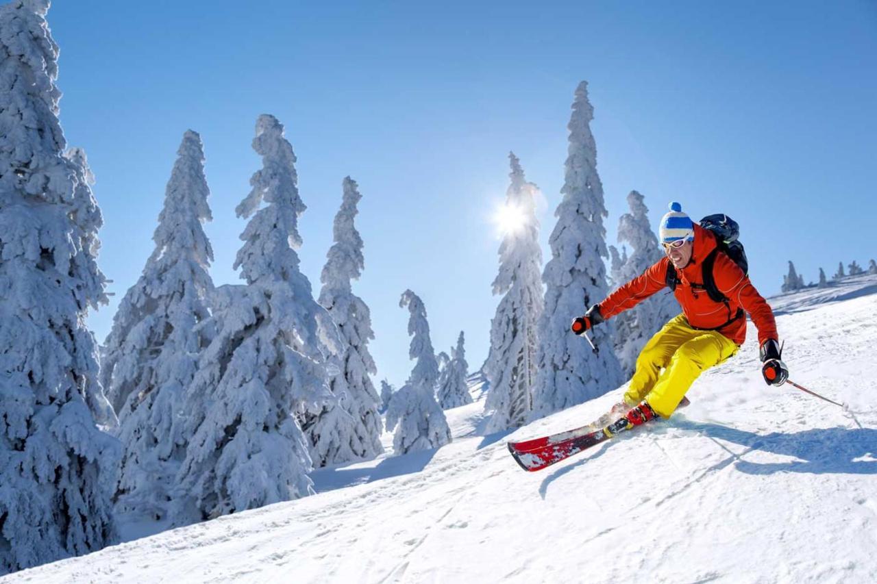 Résidence La Forêt Des Rennes - Les Saisies Villard-sur-Doron Exterior foto